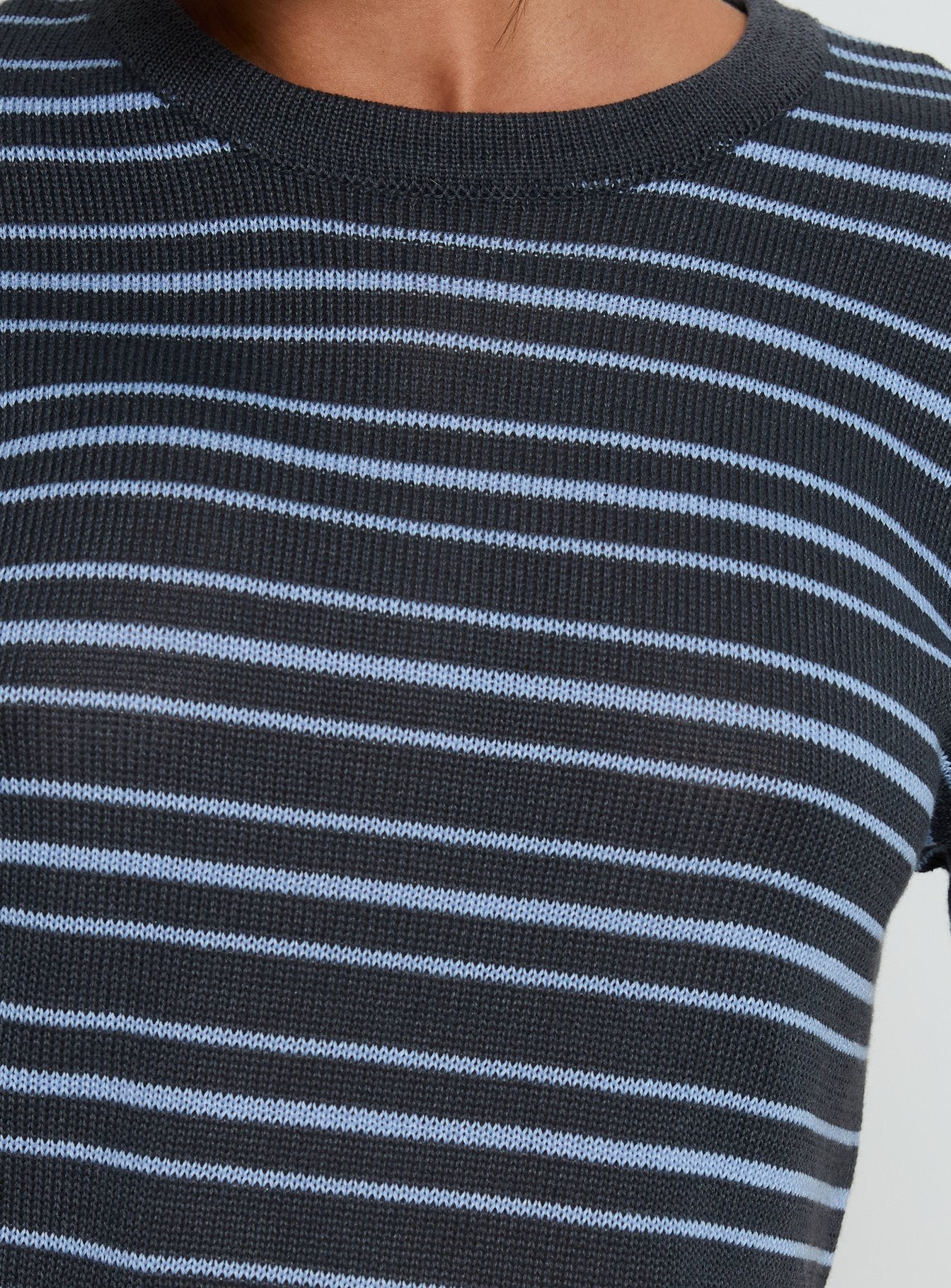 Arlynn Knit Cropped Crew Neck Top Blue Stripe - Image 6