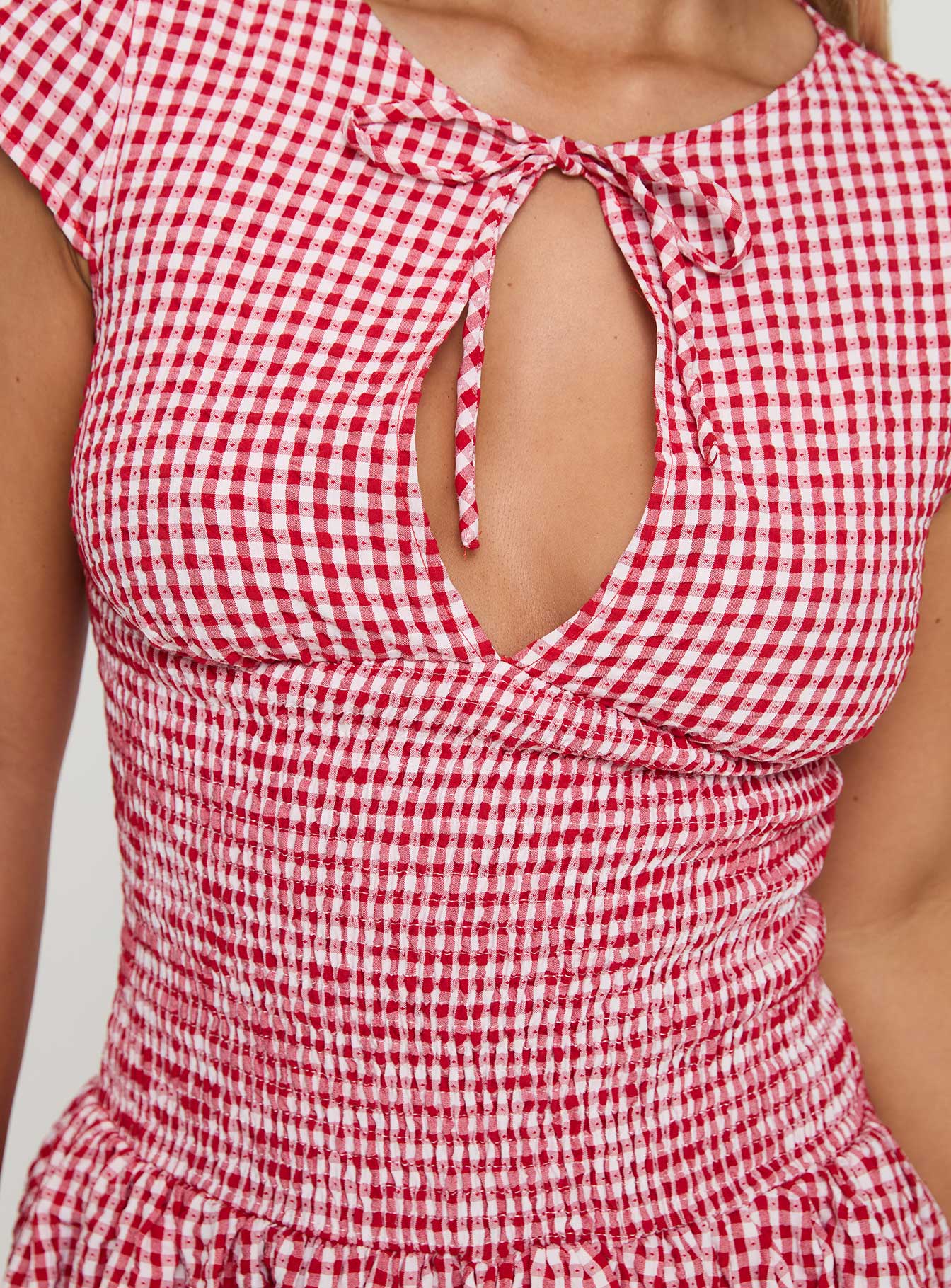 Ladybug Gingham Mini Dress Red Petite - Image 6
